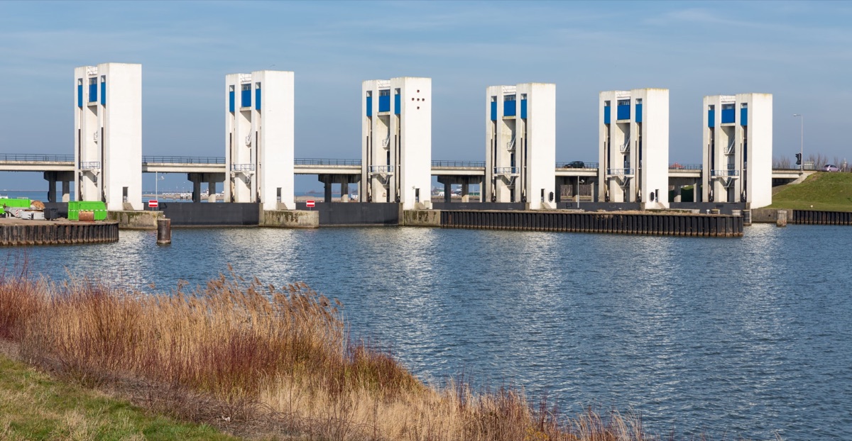 Arcadis: award-winning reporting bouwt vertrouwen