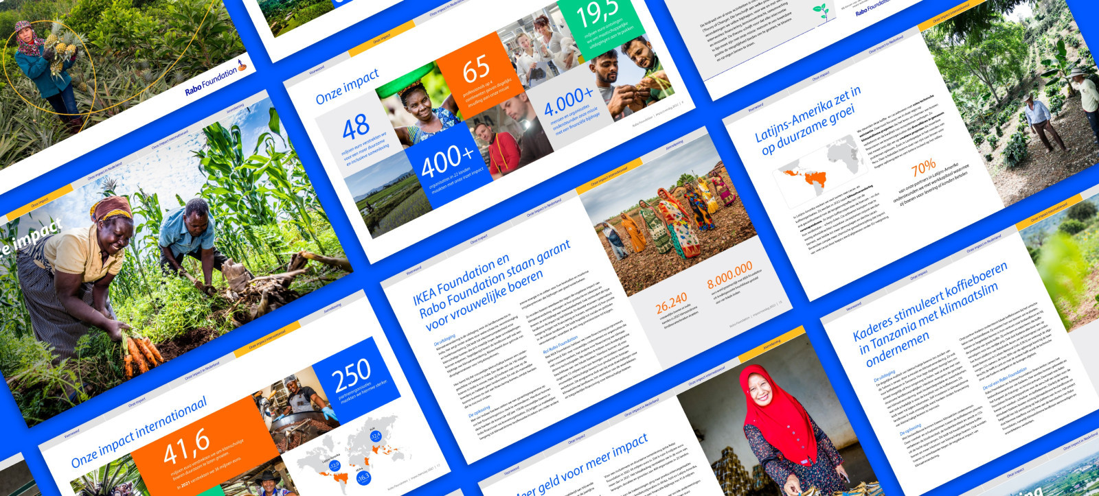 Rabo Foundation Impact Report